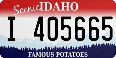 ID license plate I405665