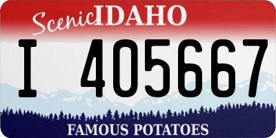ID license plate I405667