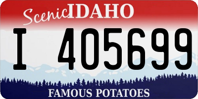 ID license plate I405699