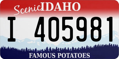 ID license plate I405981