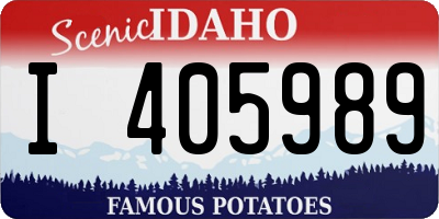 ID license plate I405989