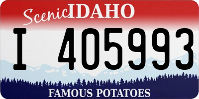 ID license plate I405993