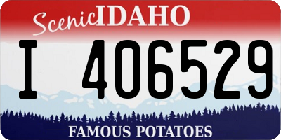 ID license plate I406529