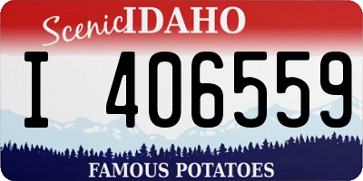 ID license plate I406559