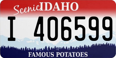 ID license plate I406599