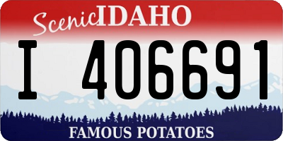 ID license plate I406691