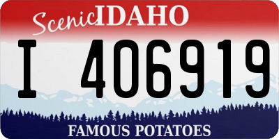 ID license plate I406919