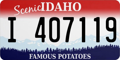 ID license plate I407119
