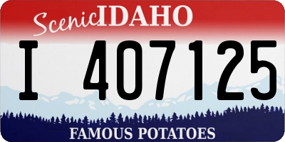 ID license plate I407125