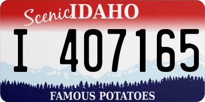 ID license plate I407165