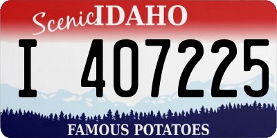 ID license plate I407225