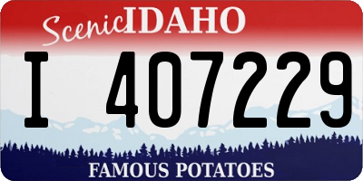 ID license plate I407229