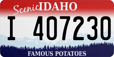 ID license plate I407230