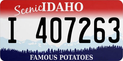 ID license plate I407263