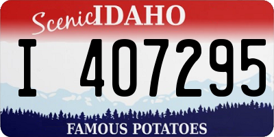 ID license plate I407295