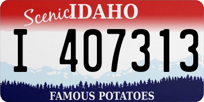 ID license plate I407313