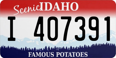 ID license plate I407391