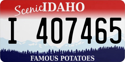 ID license plate I407465