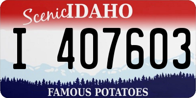 ID license plate I407603
