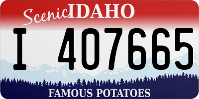 ID license plate I407665