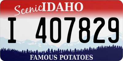 ID license plate I407829