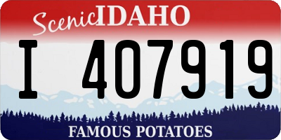 ID license plate I407919