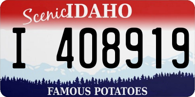 ID license plate I408919