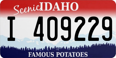ID license plate I409229