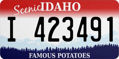 ID license plate I423491