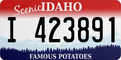 ID license plate I423891