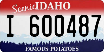 ID license plate I600487