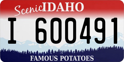 ID license plate I600491