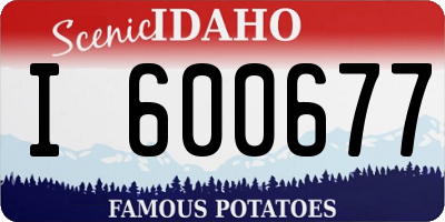 ID license plate I600677