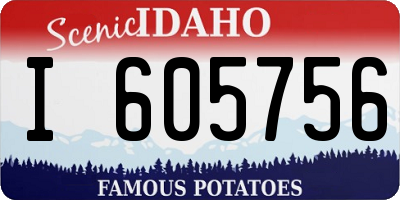 ID license plate I605756