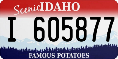 ID license plate I605877