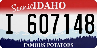 ID license plate I607148
