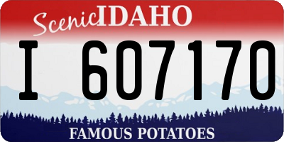 ID license plate I607170