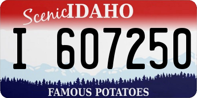 ID license plate I607250