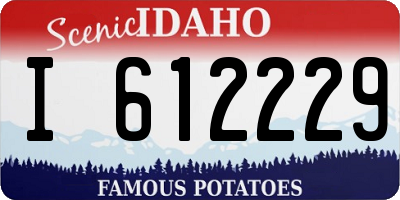 ID license plate I612229