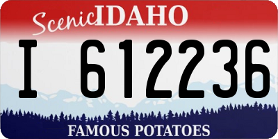 ID license plate I612236