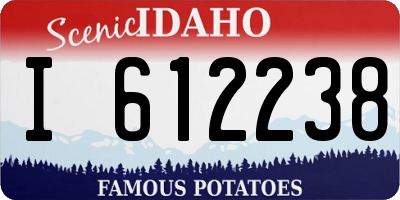 ID license plate I612238