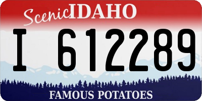 ID license plate I612289