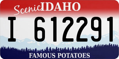ID license plate I612291