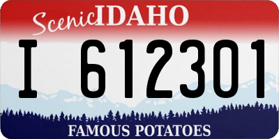 ID license plate I612301