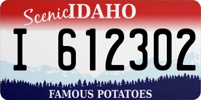 ID license plate I612302