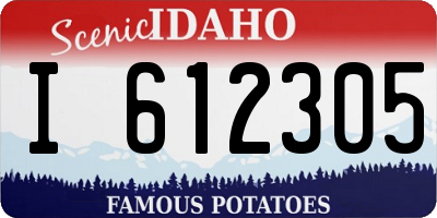 ID license plate I612305