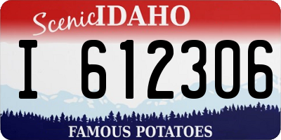 ID license plate I612306