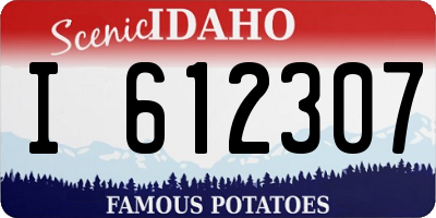 ID license plate I612307