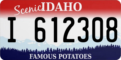ID license plate I612308