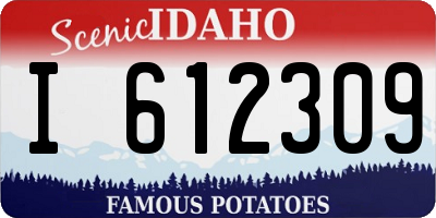 ID license plate I612309